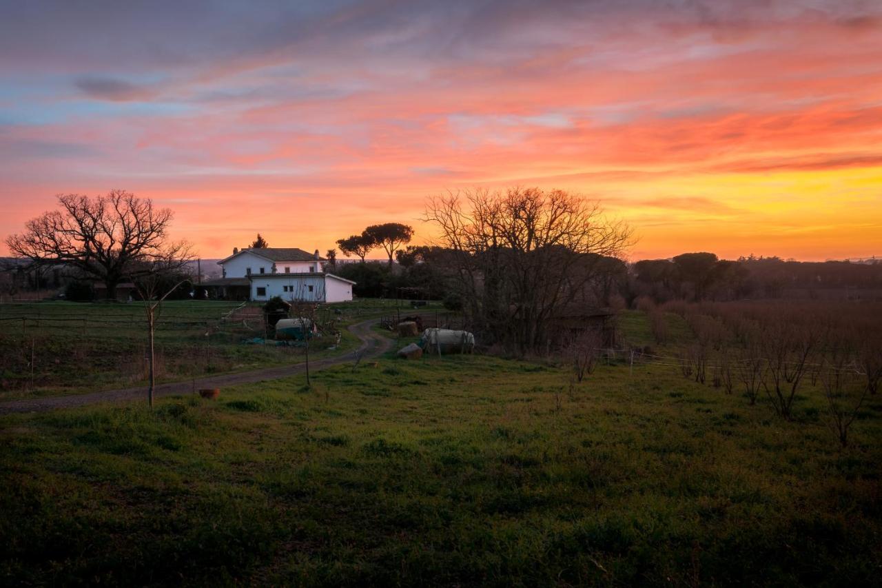 Agriturismo Il Poggio Vetralla Eksteriør bilde