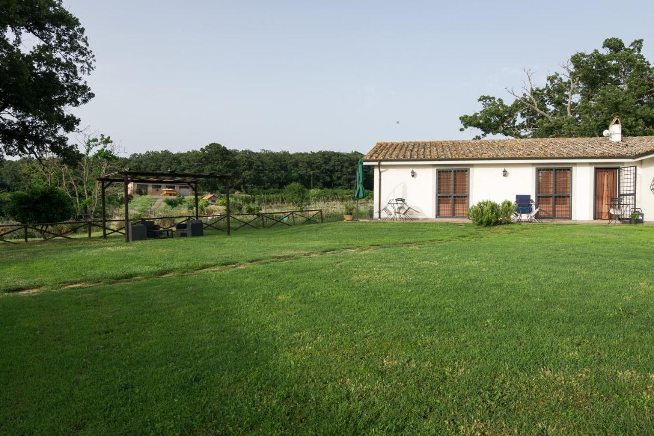 Agriturismo Il Poggio Vetralla Eksteriør bilde