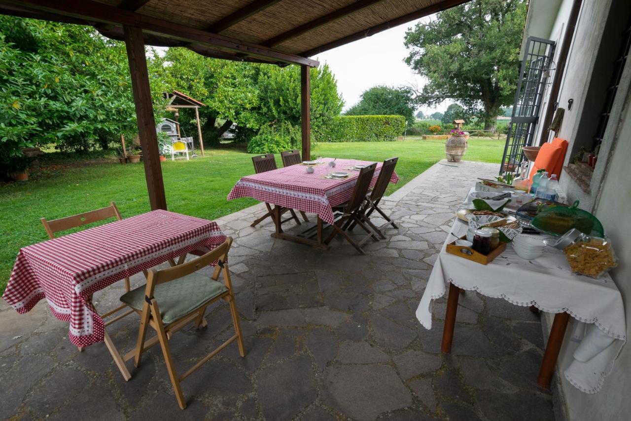 Agriturismo Il Poggio Vetralla Eksteriør bilde