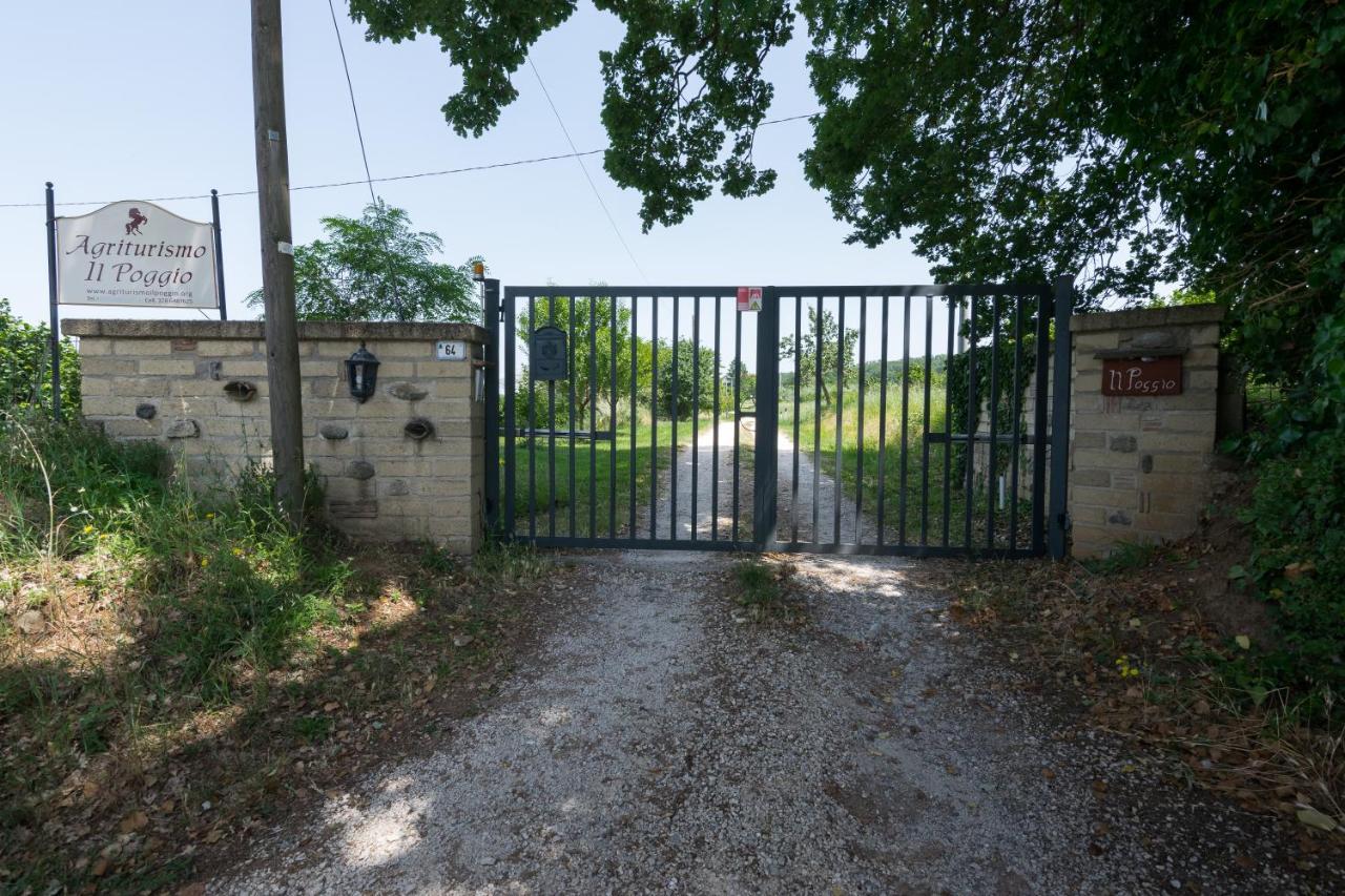 Agriturismo Il Poggio Vetralla Eksteriør bilde