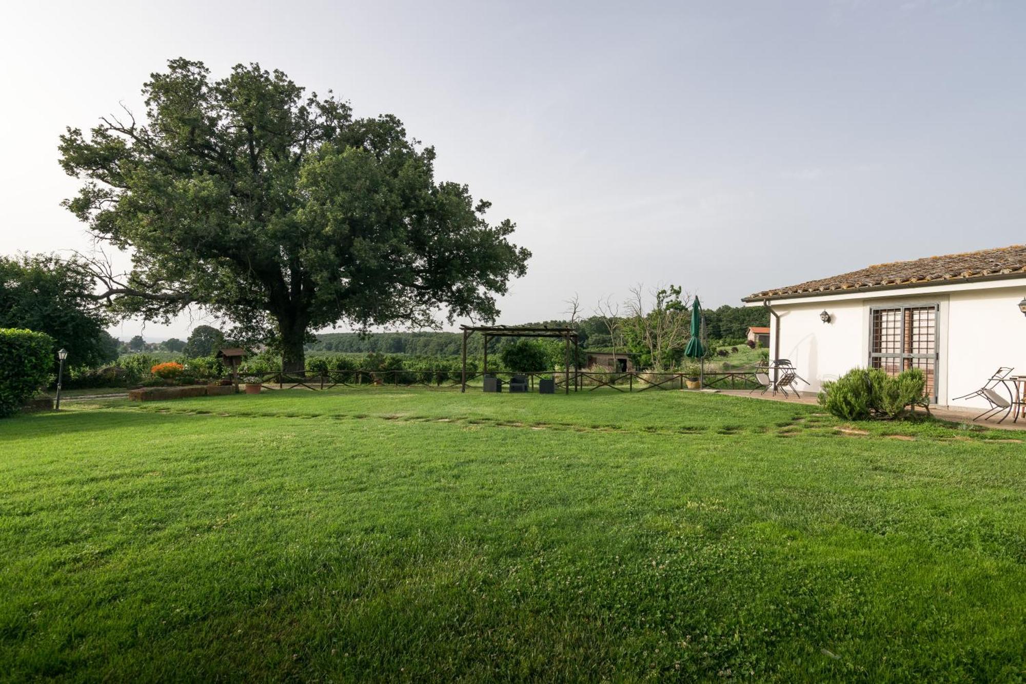 Agriturismo Il Poggio Vetralla Eksteriør bilde