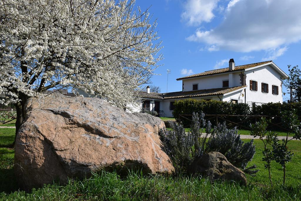 Agriturismo Il Poggio Vetralla Eksteriør bilde